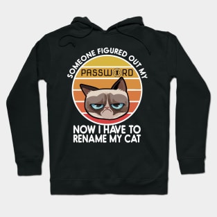 Someone Figured Out My Password - Now I have to rename my cat - Cyber security Hoodie